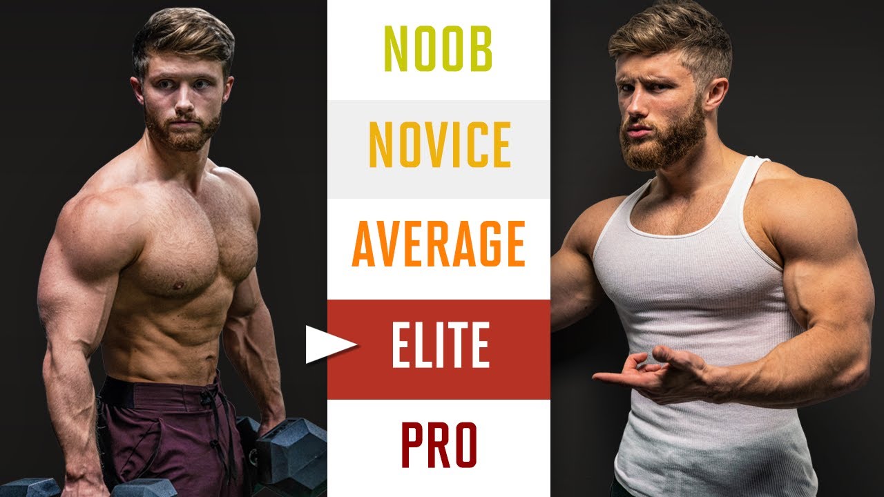 How To Build Muscle (Explained In 5 Levels) - SuperSetYou